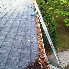 Gutter Cleaning