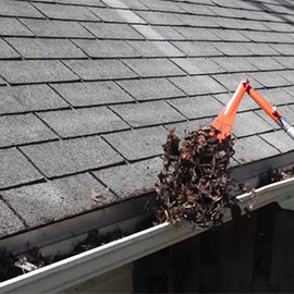 Gutter Cleaning